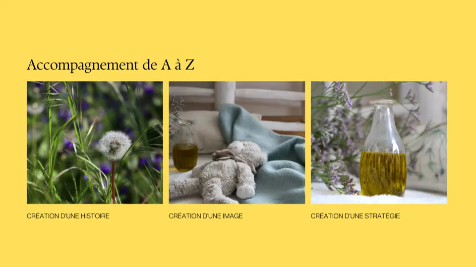 Caroline Bertheux - 4.png